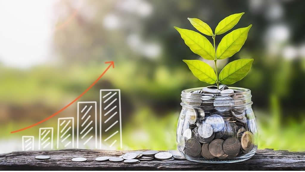 assessoria-economica